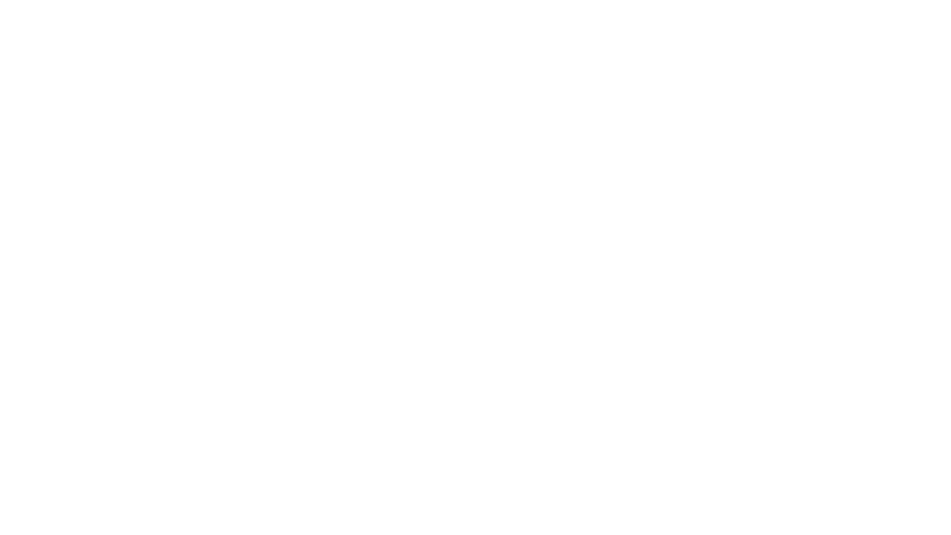Living Analógica